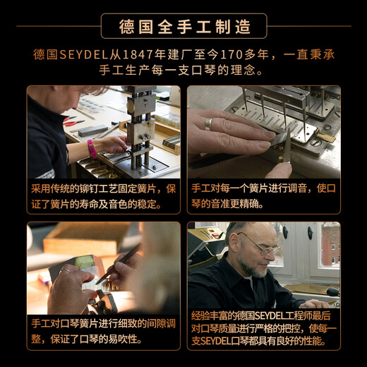 SEYDEL德国进口SEYDEL赛德 十孔10蓝调成人口琴 1847 CLASSIC 10孔D调