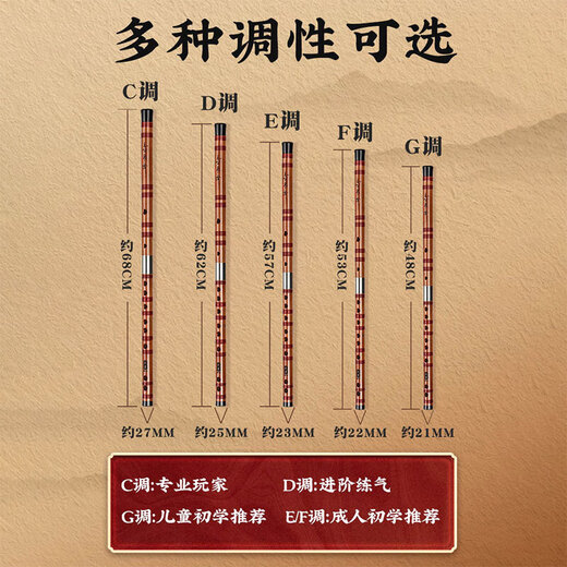 PTNOKA竹笛子初学儿童学生入门横笛EFGD调长笛演奏民族乐器专业演奏推荐 初学可拆【G调双管】少儿推荐