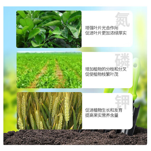 Lima general compound fertilizer nitrogen, phosphorus and potassium 15-15-15 chlorine-based rice wheat corn potassium sulfate balanced fertilizer 6Jin Jin equal to 0.5kg/bag