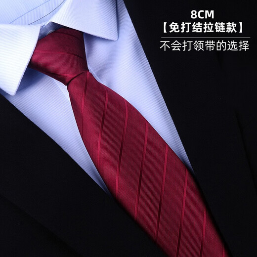 薛巧男士领带免打结拉链正装8CM商务职业新郎领结一拉得懒人西装条纹 款式-5 领带 黑色