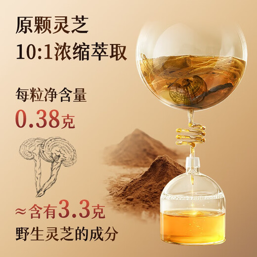 维特健灵 五色灵芝胶囊提高免疫力香港进口72粒装