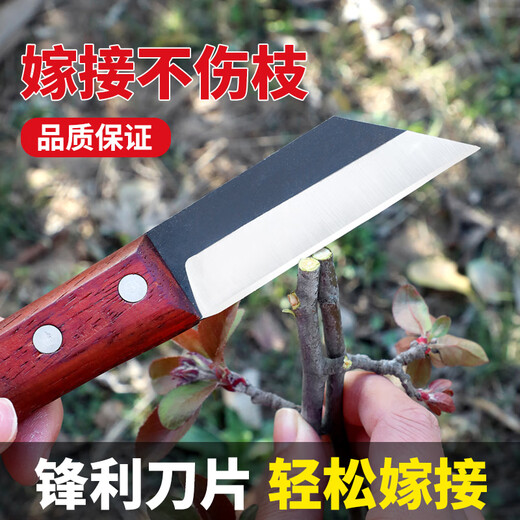 Otis grafting artifact grafting knife multifunctional handmade knife fruit tree thick tree grafting tree bud grafting knife gardening special tool knife conventional grafting knife
