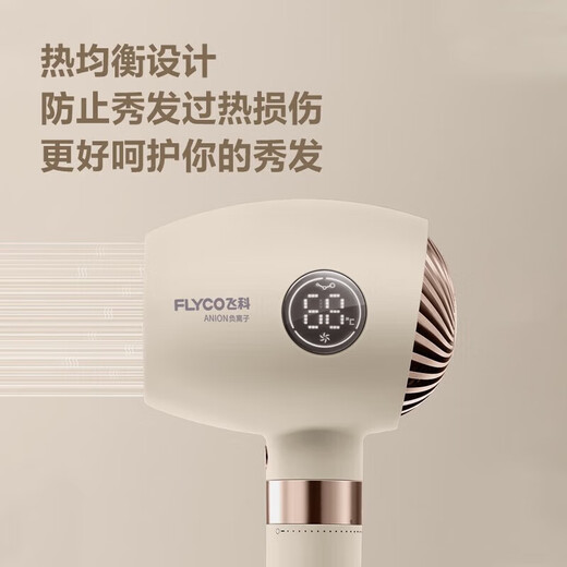 FLYCO Hair Dryer, Soft Air Negative Ion Constant Temperature Hair Care, Household Hot and Cold High Air Volume Fast Drying Hair Dryer, Smart Screen Display Gift for Girlfriend FH6369 Normal Pack