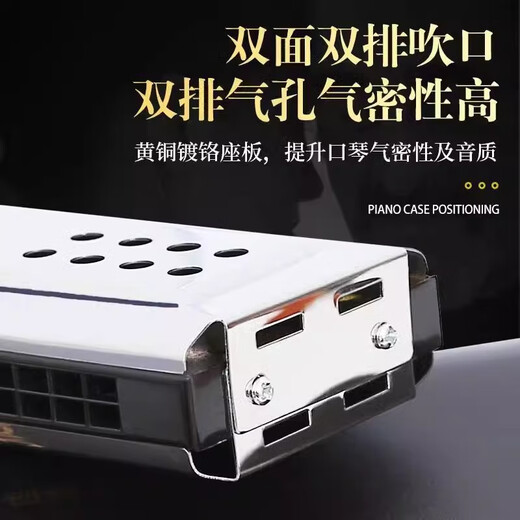 Guoguang Harmonica 24-Loch Polyphonische C-Tune G-Tune doppelseitige Doppel-Tune-Anfänger-Selbststudie Einführung für erwachsene professionelle Leistung 24-Loch-Polyphonische Silber doppelseitig [C-Tune + G-Tune]