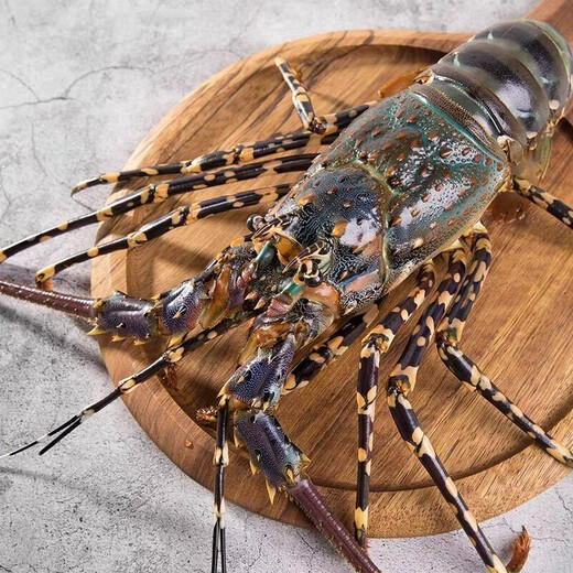 Geschenkbox/[Spot] Shen Zhixiong Fujian Dongshan Island Island Sea Catcher Seafood Geschenkbox Silvester Geschenkpack 3888 Geschenkpackung 6 Arten von Meeresfrüchten Nettogewicht beträgt ca. 10,5 Jin [Jin gleich 0,5 kg]