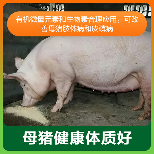 East China Zhengda 4% Pregnant Sow Compound Premix Reproduction Reserve Pregnancy Period Milk Increase Pregnant Sow Special