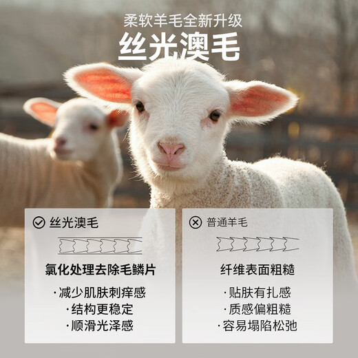 EMZ Ordos 100% mercerized Australian wool 7A antibacterial men's wool sweater autumn and winter commuting simple lapel