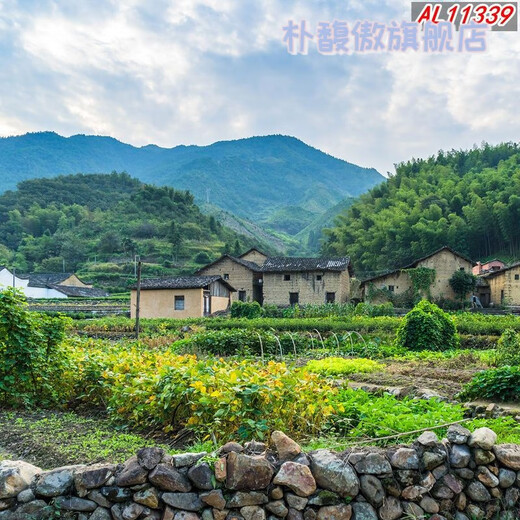 朴馥傲主播背景布直播间农村砖房抖音网红3d立体山水田园视频背景墙挂布 11155 宽1.5米-高2米竖版