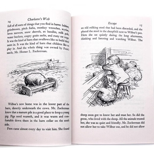 Charlottes Web Charlottes Web Eb White Eb White English Version English Reading Roman Kapitelbuch außerschulische Lesematerialien Lansie Index 680L Newbery Award Gewinnerin Woodrows Familie