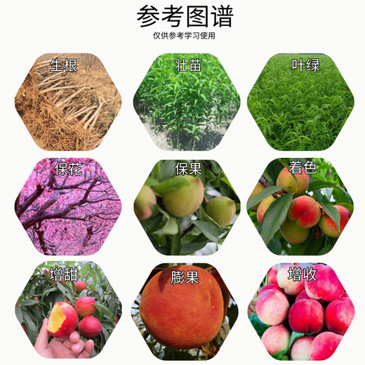 Senhuo Jinbang Zheng's Chemical 8% Aminobutanol Fruit Tree Garden Seedlings Vegetables Flowers Citrus Rooting Preservation Fruit Expansion Coloring Promotes Cell Division Growth Regulator 50g/bag*20 bags