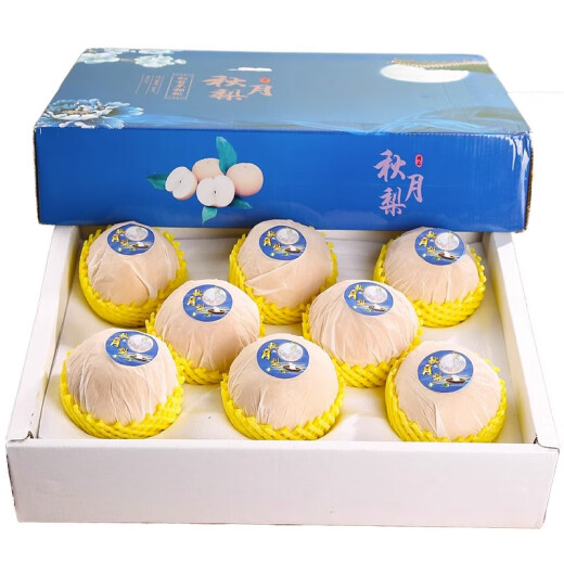 Sweet and Cute Fruits and Vegetables Shandong Qiuyue Pear Fresh Fruit Gift Box Seasonal Pears Full Box 8Jin [Jin equals 0.5kg] Selected [Gift Box] Hand-Selected Fruit King