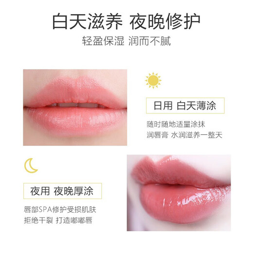 sakose Vaseline Chamomile Lip Balm 2.8g Four Seasons Anti-Crack Lip Mask Moisturizing Soothing and Repairing Lips Men and Women