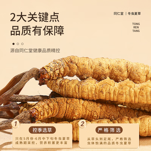 同仁堂品牌冬虫夏草约4根/g20g约80根高端金标礼盒滋补营养品送长辈领导