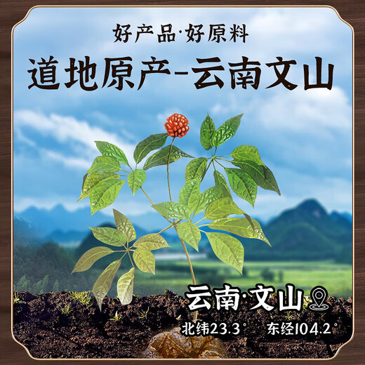 Qidan Pharmaceutical Forest Fresh Panax notoginseng Oral Liquid Essence Brink Yunnan Wenshan Jinqidan Forest Fresh Panax Notoginseng Version améliorée (1 boîte 30 pièces)