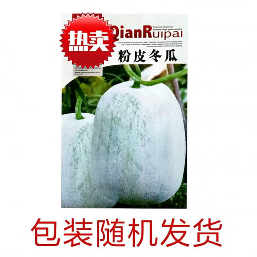 Pink-skinned giant winter melon seeds, extra-large pink-skinned winter melon seeds, pink-skinned giant winter melons, black-skinned giant large winter melons, pink-skinned giant winter melon seeds, common winter melons in rural areas, selected 22 capsules + fertilizer