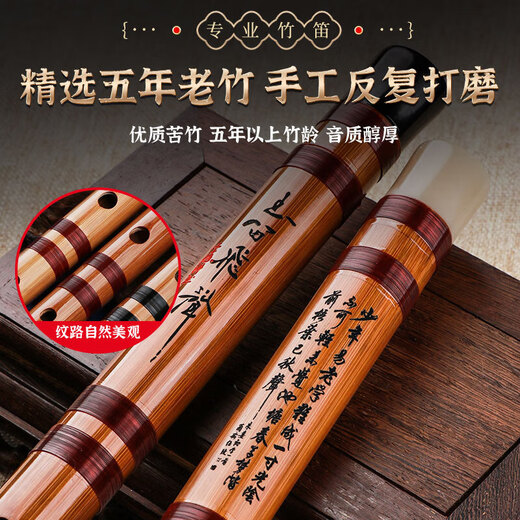 PTNOKA竹笛子初学儿童学生入门横笛EFGD调长笛演奏民族乐器专业演奏推荐 初学可拆【G调双管】少儿推荐