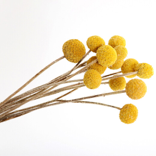 AIMAN (AIMAN) ins air-dried flower bouquet home furnishings small fresh living room flower arrangement internet celebrity decoration baby's breath eternal flower a handful of pink baby's breath dry branches