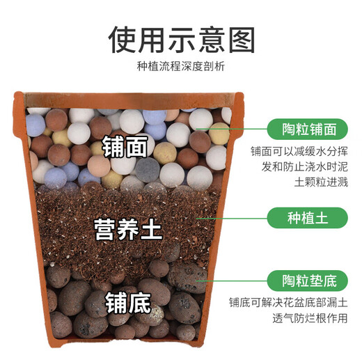 德沃多 混色小陶粒(4mm)2.5kg 花盆垫底拌土回填透气花卉多肉养花铺面石