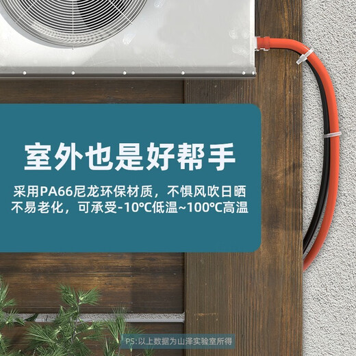 山泽 自锁式尼龙扎带 线缆电脑桌面装机 园艺理线束线捆扎多功能绑带 专业自锁式 透明尼龙扎带 100根【100*2.5mm】HZD-12