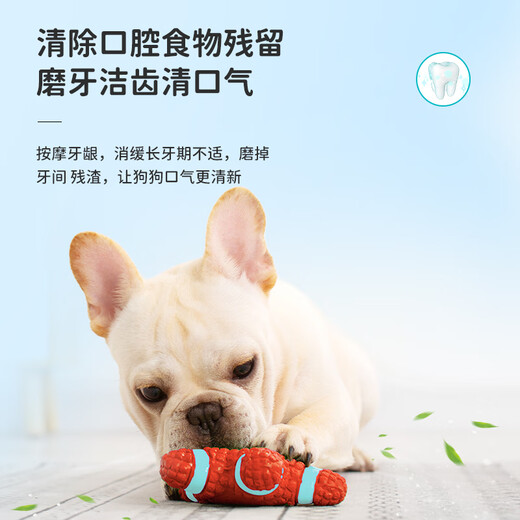 EETOYS Latex Starfish Red Dog Toy Fun Sound Relief Alone Boredom Companion Pet Supplies