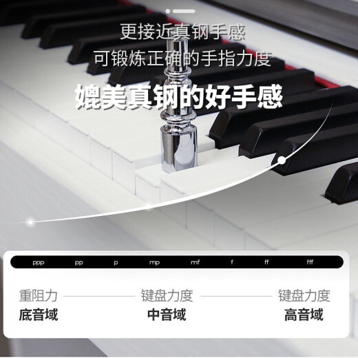 探律（TANLV）钢琴电钢琴88键重锤专业成人初学者幼师儿童家用立式数码电子钢琴 T01木纹黑-重力度键-多功能APP