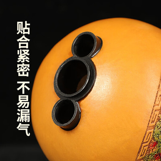 正音堂葫芦丝云南乐器成人专业演奏双调红木管浮雕三音款儿童初学 普及款葫芦丝C调