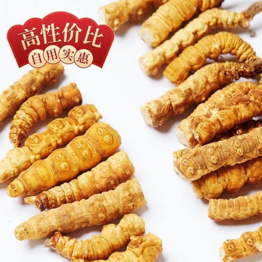 鹿章堂正宗藏区高海拔精品断虫草断草冬虫夏草自食买10克发11克多买多惠 西藏那曲高海拔纯肉整节80克（送10克发90克）