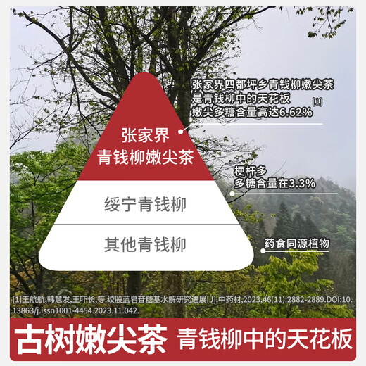 妈妈的茶青钱柳叶茶嫩叶茶张家界野外生正品老树特产新清金钱柳级 6罐嫩叶青钱柳罐超值装