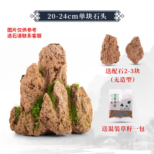 Landscape green sculpture natural water-absorbent stone bonsai custom-made water stone rockery stone micro-landscape decoration stone ornamental 20-24cm water-absorbent stone does not include pots and comes with grass seeds and stones
