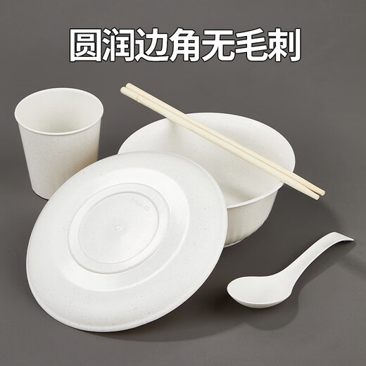 SHUANG YU disposable tableware five-piece set * 20 people large bowl chopsticks plate cup spoon outdoor camping picnic set