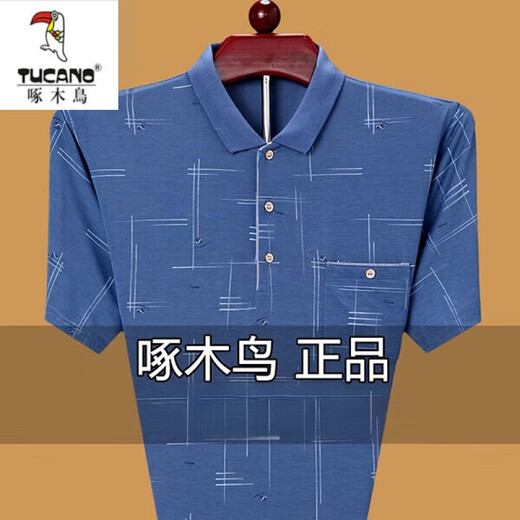 Holzspecker (Tucano) Sommer mittleren Alters mittleren Alters mit kurzem T-Shirt Lose Polo-Basis Hemd Großgröße halbärmelig T-Shirt Dad Herren Kleidung 753 hellgrün [Realtasche] 180/xxl Vorschlag 160180jin [Jin gleich 0,5 kg]