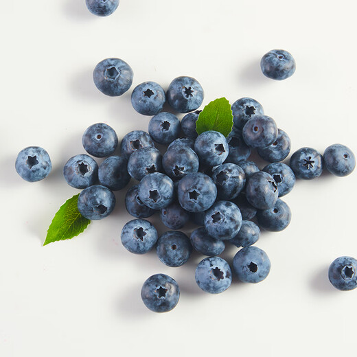 Yikeberry Driscolls Saison Yunnan Blaubeeren 14mm+ 4 Kisten 125 g/Box Frische Früchte
