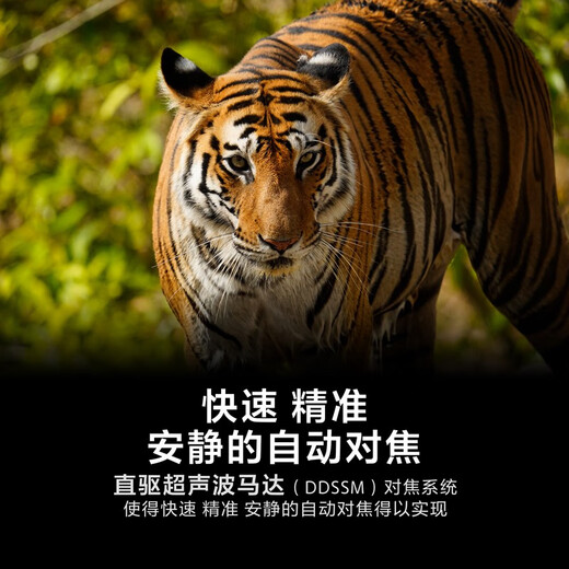 Sony (SONY) official direct SEL200600G FE200-600mm F5.6-6.3 full-frame super telephoto zoom G lens