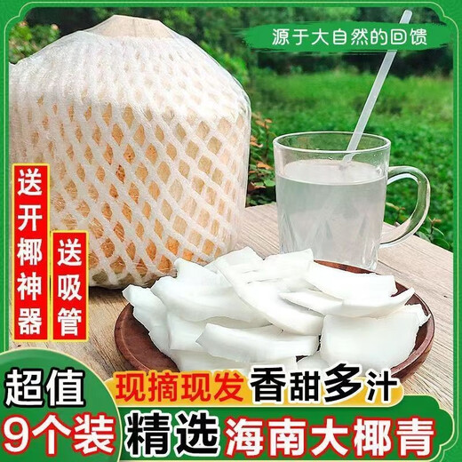 Selected large fruits, freshly picked Hainan coconut, green coconut, peeled pregnant women, goat fruit, water coconut, 4 pack