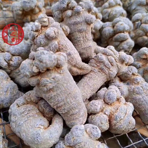 
Night Lord Panax notoginseng powder Yunnan Selected Wenshan 20 heads of Panax notoginseng powder pure Panax notoginseng powder super fine one can buy 2 get 2 free 4 cans in total 2 Jin [Jin equals 0.5 kg]