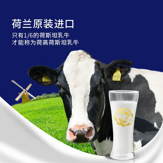 荷高（Globemilk）荷兰原装进口3.7g优乳蛋白全脂纯牛奶 1L*6 高钙儿童整箱送礼
