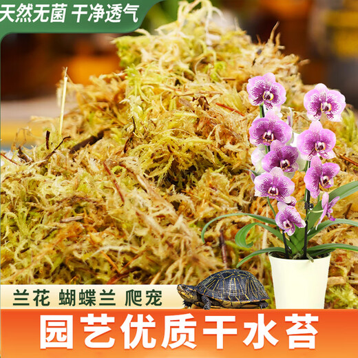 Devodo sphagnum moss about 12L (special grade) nutrient soil climbing pet turtle hibernating phalaenopsis orchid orchid moss planting potted plant