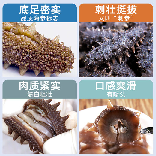 Tongrentang Sea Cucumber Dalian Ready-to-Eat Sea Cucumber Ready-to-eat Liao Cucumber 1Jin Jin is equal to 0.5kg 10 pieces solid 100% ready-to-eat bagged seafood