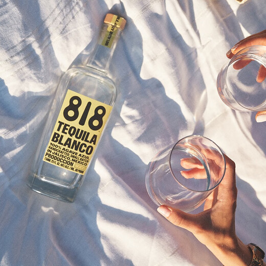 詹娜818金/银/陈酿龙舌兰酒TEQUILA肯达尔詹娜肯豆墨西哥进口洋酒 Blanco银龙舌兰 750mL 1瓶