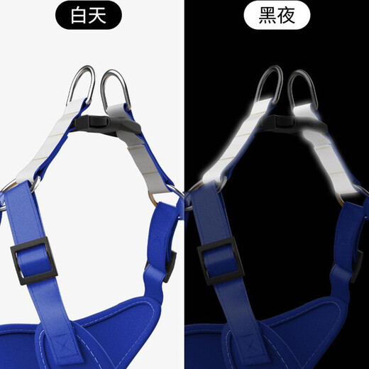 Chongdeduo Dog Leash Small Dog Harness Dog Leash Dog Rope Dog Walking Leash Teddy Pomeranian Corgi Blue XS (7-14Jin Jin is equal to 0.5kg dog)