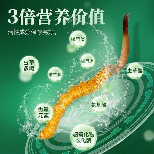 色季拉【新鲜虫草】色季拉 新鲜冬虫夏草 头茬新鲜虫草 高洁净健康滋补 新鲜断草 20克