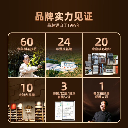 老同志 茶叶普洱茶 糯香熟茶 2018年 9908茶头老砖 500g 克