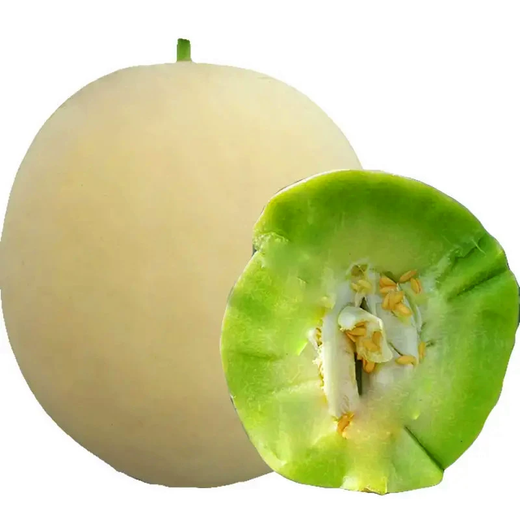 Xiangbin Jade Mushroom Melon Seed Seeds White Skin Green Flesh Super Sweet Ice Cream Xiangyugu Hami Melon Seeds Early Maturing Authentic Four Seasons Jade Mushroom Melon Seeds 10 Original