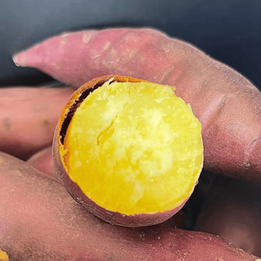 Sugared Chestnut Sweet Potato 600g