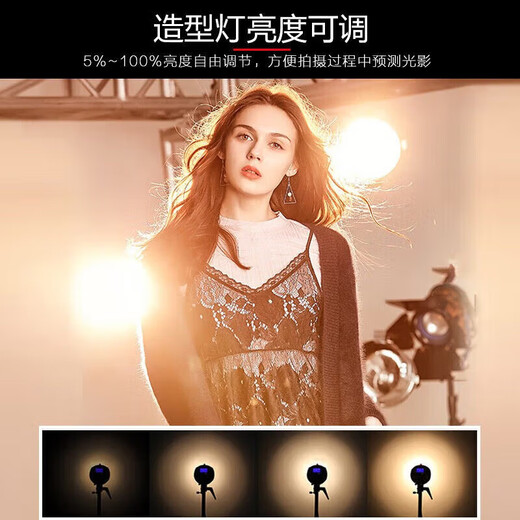 Godox SK400WII second generation photography flash 2.4G built-in reception 400W flash studio flash 400w portrait model shooting flash official standard