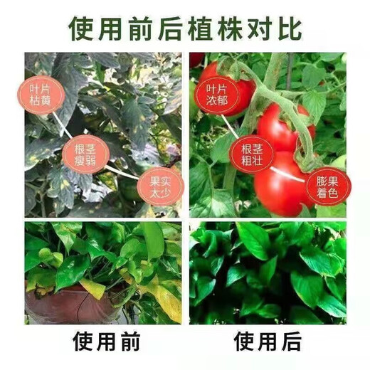 Compound fertilizer urea phosphate fertilizer potassium fertilizer flower fertilizer flower potted vegetables and fruit tree fertilizer universal nitrogen, phosphorus and potassium general upgraded formula compound fertilizer 5Jin Jin equal to 0.5kg