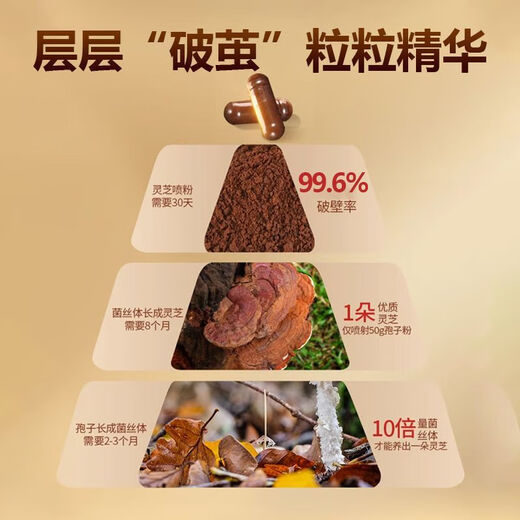 Huiji Broken Spore Powder Changbaishan Broken Ganoderma Spore Powder Capsules Spore Powder Soft Capsules 60 Capsules 1 Bottle 4 Bottles Taken for 60 Days Effective Broken Ganoderma Spore Powder Capsules/