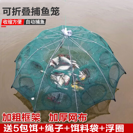Jingpin fish and shrimp cage, floor cage, lobster cage, ground dragon fish cage, fishing net, fishing cage, shrimp cage, eel cage, umbrella 20 holes + gift + 20 packs of bait (delivered today)