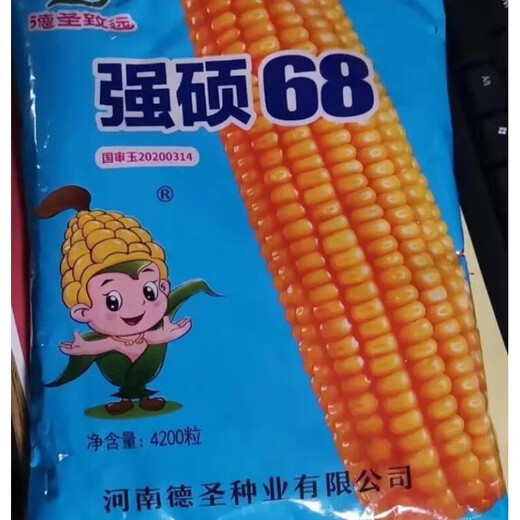 New species in stock, nationally approved original Qiangshuo 68 corn seeds, high-yield corn seeds, drought-resistant pioneer, high-yielding, drought-resistant, not bald. New species in stock, original nationally approved Qiangshuo 68 4200 grains 1 bag