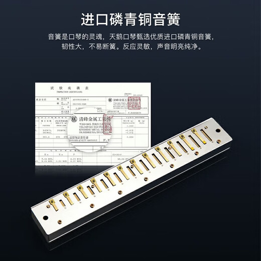 天鹅德国进口音簧24孔复音口琴高级成人专业演奏级初学者入门送礼精品 24孔 C调 银色复音+10孔布鲁斯口琴